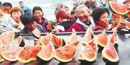 吃瓜大赛比赛趣事,吃瓜大赛那些爆笑趣事