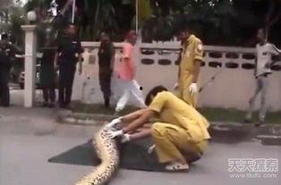 吃瓜活人解剖,一场惊心动魄的医学探秘之旅