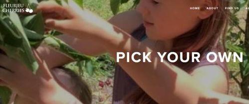 抖音牧南吃瓜事件,揭秘网络舆论的狂欢与反思